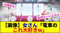 【画像】女さん「電車のこれ大好きw」【2chまとめ】【2chスレ】【5chスレ】