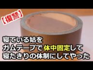 【復讐】私の胎児を〇して笑う義母。ガムテープで体を固定し、強制的に寝たきり状態にしてやった