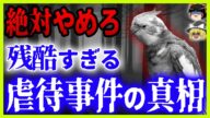 【拡散希望】酷すぎるインコ虐待事件3選の真相!信じられない事実が明らかに…