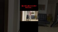 霊に取り憑かれた男が怖すぎる
