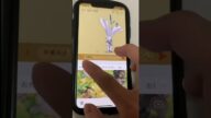 卒業式、告白して爆死したヤツ LINEあるある【TikTok5000万回再生】 #Shorts