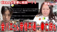 【藤沢なな もんじょり】金バエさんが現在音信不通状態に…●亡説も…?横領の疑いもあり、ぜろわんが警察に相談…これには裏があって…?