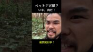 ペット?害獣?いや、肉だ#アライグマ#ペット