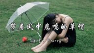 Starry7 - 带着风中悲鸣的草帽(说唱版)『再见青春 再见美丽的疼痛,再见青春永远的故乡。』『动态歌词MV』