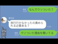 【LINE】旅行に行ったフリをする妻を問い詰めたときの反応が...w【Seraph】