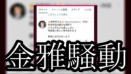 【くえあ会崩壊寸前】金バエさんとみやびくんの忘年会騒動に進展がありました【ぱるぱる】