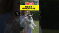 【世間の反応】緊急提言!元首相、プーチン氏との協力提案で波紋!#shorts