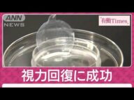 世界初“iPS角膜シート”で変わる未来 重い「心不全」治療へ“心筋球”の可能性(2024年12月15日)