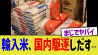 輸入米、国内駆逐しだす…