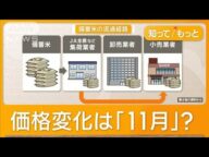 卸通さず小売店へ 政府が流通改善策 備蓄米“上乗せ3倍” 高止まり一因か【もっと知りたい!】【グッド!モーニング】(2025年5月18日)