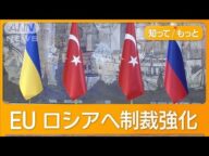 ウクライナ「ロシアの要求は非現実的」 3年ぶり直接協議も双方の主張に隔たり【知ってもっと】【グッド!モーニング】(2025年5月17日)