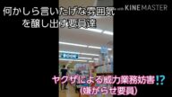 【迷惑防止条例違反懲役2年罰金100万の犯行的瞬間を見よ❗】集団ストーカー!!沖縄の恥さらし(沖縄チンピラによる令和集団殺人事件)#集団ストーカー犯罪#防犯パトロール#