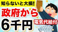 【知らないと損!】政府から全国民へ6千円給付!電気・ガス代補助が8月から再開!いくら安くなる?2024年夏の経済対策について徹底解説!