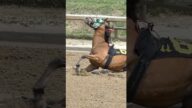 チャーチルダウンズ競馬場での致命的な転倒