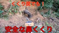 くくり罠でも安全に止め刺しができます。鼻止め動画。