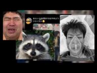 金バエさんの嫁がヤバいです ぱるぱる