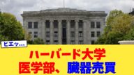 ハーバード大学医学部、臓器売買【2chまとめ】【2chスレ】【5chスレ】