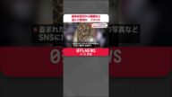 【アメリカ】遺体安置所から臓器など盗んで密売か …6人起訴 #shorts
