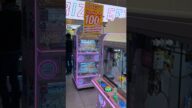 ヤクルト1000、緊急事態