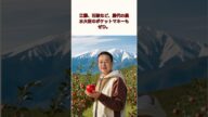 【進次郎!計算大丈夫か?】りんご中抜き業者からみる、進次郎のコメ政策 #コメ不足 #小泉進次郎#米騒動#備蓄米