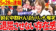 【5/28超速報】こんな国会見たことない!国会議事堂が揺れた!小泉新大臣VSやはた愛が凄すぎた…【れいわ 山本太郎 国会 】
