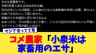コメ農家「小泉米は家畜用のエサ」【2chまとめ】【2chスレ】【5chスレ】