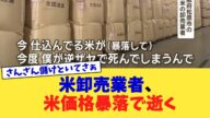 米卸売業者、米価格暴落で逝く【2chまとめ】【2chスレ】【5chスレ】