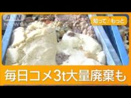 備蓄米どこに?「流通に時間がかかる」 毎日コメ3t大量廃棄の現場も【知ってもっと】【グッド!モーニング】(2025年5月8日)