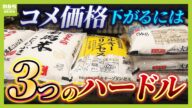 【備蓄米】コメは安くなる?専門家は「3つのハードル」を指摘 5kg平均価格「4000円」に迫る中…3月10日に備蓄米入札へ【解説】(2025年3月4日)