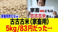 小泉進次郎農林水産大臣が放出した米、5kg83円相当だと言う事が判明し…