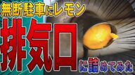 【無断駐車の復讐】排気口にレモンを詰めたら対策グッズとして優秀だった