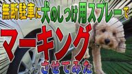 【無断駐車の復讐】犬のしつけ用スプレーが対策グッズになる?