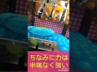 これは通報レベル!ラウンドワンのクレーンゲームが酷すぎた。ガチで動画送って通報してやった。営業停止になろうがしったこっちゃない