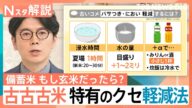 まもなく流通“古古古米” 価格は適正? もし玄米だったら? パサつき・においを軽減するには?【Nスタ解説】|TBS NEWS DIG