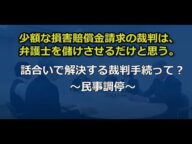 【体験談】少額な損害賠償金請求の裁判は、弁護士を儲けさせるだけと思う。【民事調停】話合いで解決する裁判手続って?