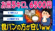 【2ch社会問題スレ】お米5キロ6500円、食パンの方が安いww【ゆっくり解説】