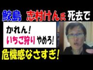 【鮫島】「かれん、いちご狩りやめろ!」