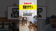 【世間の反応】備蓄米15万トン放出!高騰する米価に歯止めかけるか?#shorts