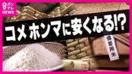 「コメは安くなる?」備蓄米の放出決定 "消えたコメ"は市場に出るか 卸売業者「得意先のストック出せない。JAの買い値が安かった」JA「最大限努力した」 言い分対立する中価格は?〈カンテレNEWS〉
