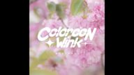 Colorcon Wink (Official Audio) / BNK48