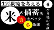備蓄米 真空パックの冬眠米購入後6ヶ月の状態チェック