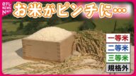 【ピンチ】猛暑と水不足で“品質低下” お米マイスターが伝授「おいしいご飯炊くコツ」
