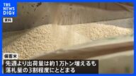 JA全農 「備蓄米」出荷量1万トン増も落札量の3割程度にとどまる|TBS NEWS DIG