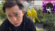 エンターテイナー折原さんの逮捕について