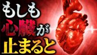 【衝撃】心臓が止まるとあなたの身体には何が起こるのか?