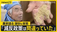“減反政策”でコメ不足に? 「これ以上作れない」農家が語る深刻な影響 なぜ生産量が増えない?コメ不足を招いた“日本農業の構造問題”に迫る【news23】|TBS NEWS DIG