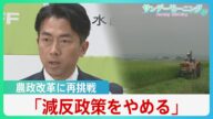 “コメ担当大臣”小泉新農水大臣、コメ不足認め「減反やめる」 農政のタブーに挑戦、過去の反発乗り越えられるか【サンデーモーニング】| TBS NEWS DIG