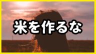 【日本終了】減反政策がもたらした農業崩壊の真実! 知らないとヤバい…