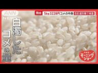 5kg3228円のコメ プロが品質に怒り「新潟への侮辱」「コメ業界にケンカ」ほぼ規格外【羽鳥慎一モーニングショー】(2025年5月29日)