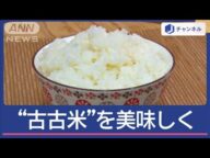 あすから「古古米」店頭に プロが伝授!美味しい食べ方【スーパーJチャンネル】(2025年5月30日)
